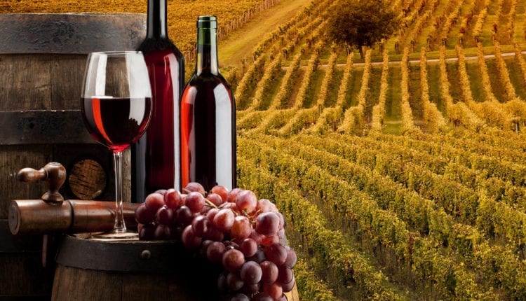 Quais são as melhores vinícolas da Calábria?